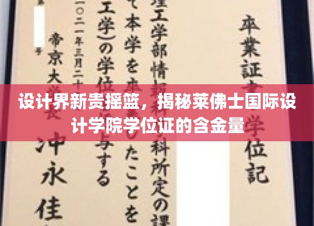 设计精英孵化器，探秘莱佛士国际设计学院学位证的闪耀价值