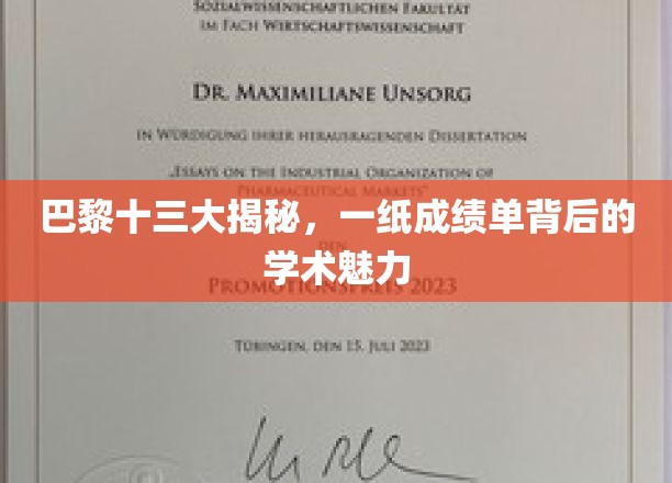 探寻巴黎十三大，成绩单背后的学术风采与传奇故事