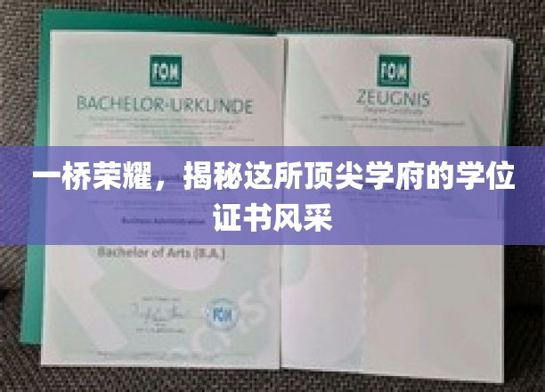 一桥荣耀，揭秘这所顶尖学府的学位证书风采
