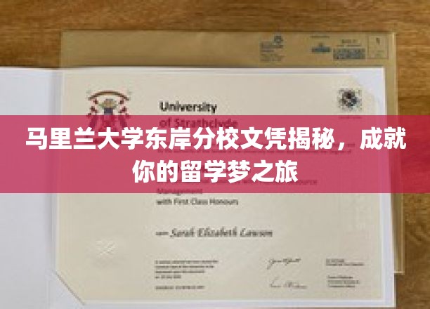留学梦想启航，马里兰大学东岸分校文凭背后的精彩旅程