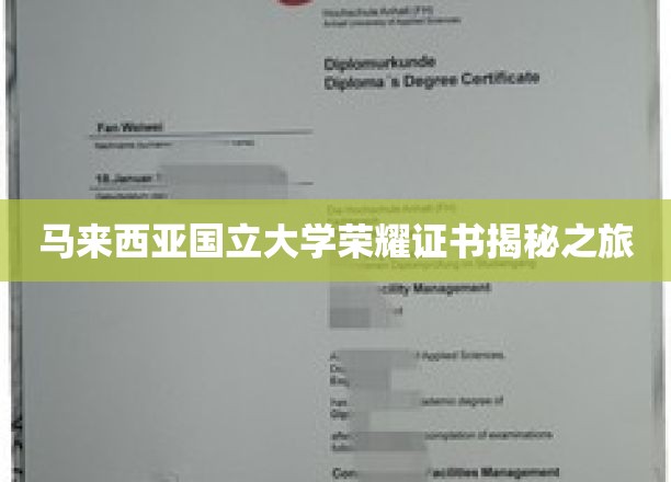马来西亚国立大学证书背后的荣耀传奇探索