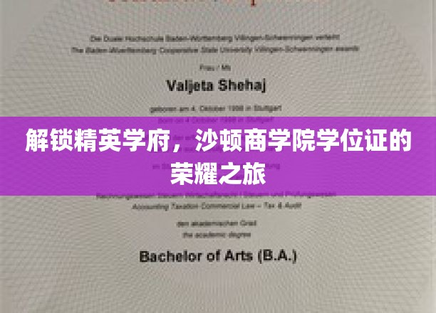探寻沙顿商学院荣耀学位背后的精英之路