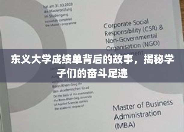 东义学子奋斗轨迹，揭开成绩单背后的青春篇章
