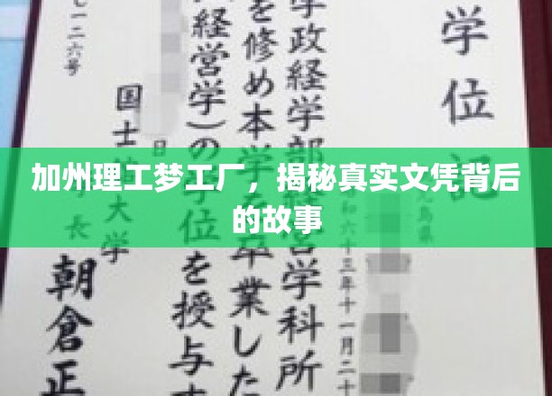 加州理工光环下的秘密，揭秘文凭背后的传奇故事