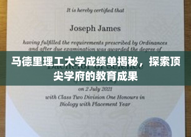 揭开马德里理工大学神秘面纱，探寻世界顶尖教育的辉煌成果