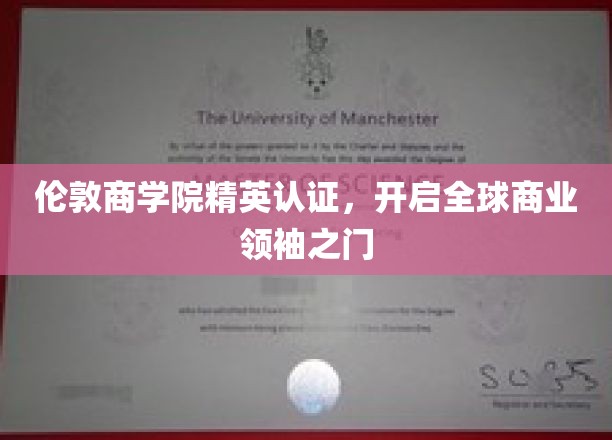 伦敦商学院精英护照，解锁全球商业领袖新篇章