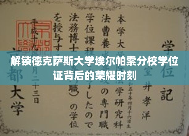 解锁德克萨斯大学埃尔帕索分校学位证背后的荣耀时刻