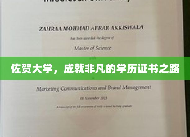 探索佐贺大学，打造非凡学历的传奇之旅