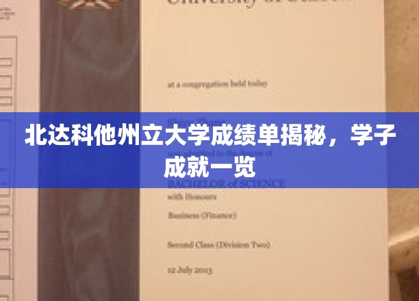 北达科他州立大学成绩单揭秘，学子成就一览