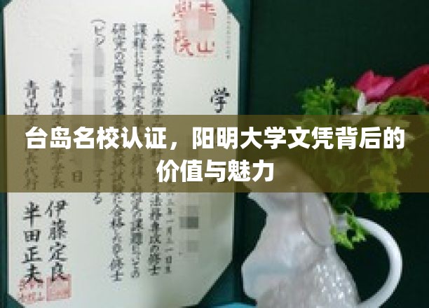 阳明大学文凭的台岛荣耀，价值与魅力一瞥