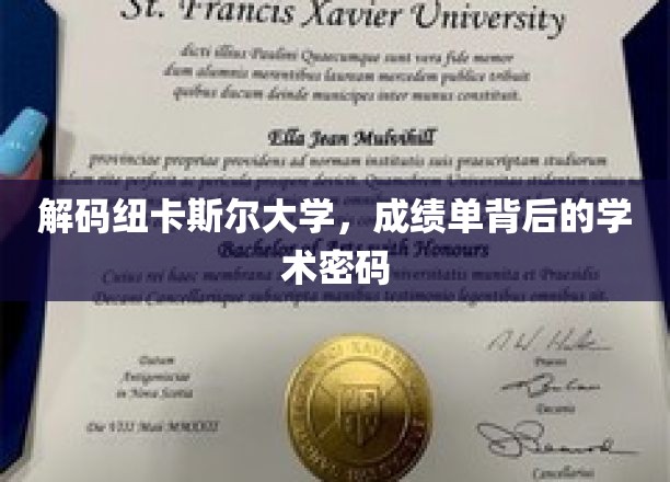 揭示纽卡斯尔大学，揭秘成绩单背后的学术奥秘