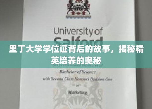 解码里丁荣耀，精英摇篮的学位证传奇