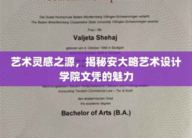 艺术灵感之源，揭秘安大略艺术设计学院文凭的魅力