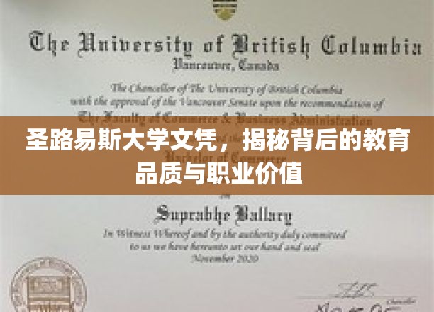 圣路易斯大学文凭，揭秘背后的教育品质与职业价值