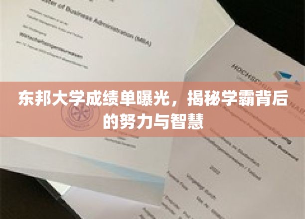 东邦学霸风云录，揭秘成绩单背后的奋斗与才智