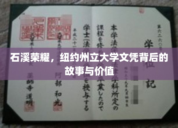 石溪荣耀，纽约州立大学文凭背后的故事与价值