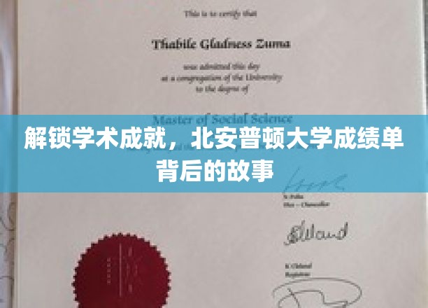 探索北安普顿大学卓越成就背后的秘密档案