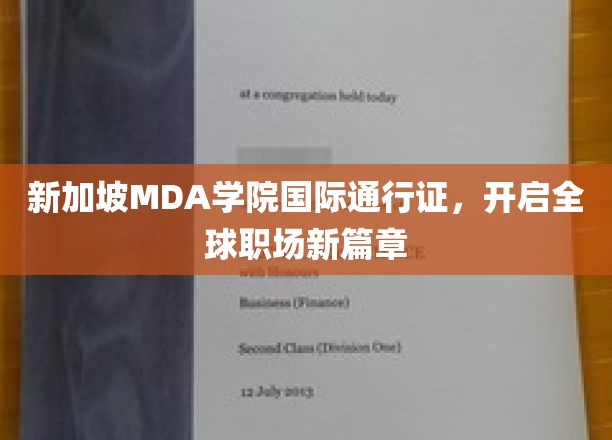 跨国职场通行证，MDA学院助力新加坡学子征服全球舞台
