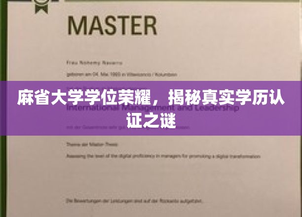 麻省大学荣耀揭秘，学历认证背后的真实面纱