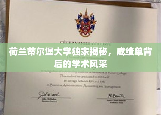 探寻荷兰蒂尔堡大学，揭秘成绩单背后的学术魅力