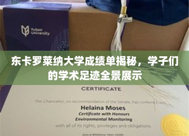 东卡罗莱纳大学成绩单揭秘，学子们的学术足迹全景展示