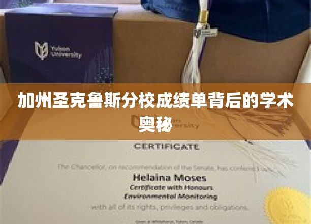 探索加州圣克鲁斯分校成绩单背后的学术秘密花园
