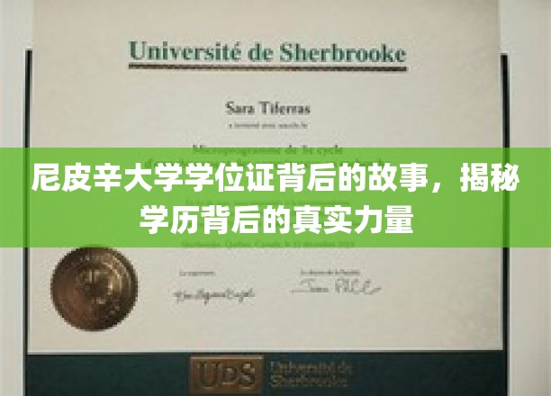 尼皮辛大学学位证，探寻学历背后的神秘力量