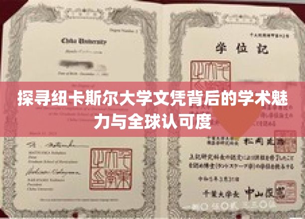 揭秘纽卡斯尔大学，学术光环下的国际认可与魅力之旅