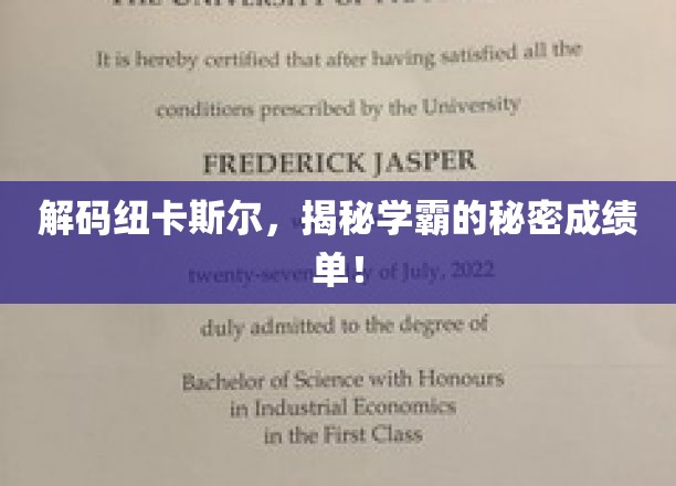 解码纽卡斯尔，揭秘学霸的秘密成绩单！
