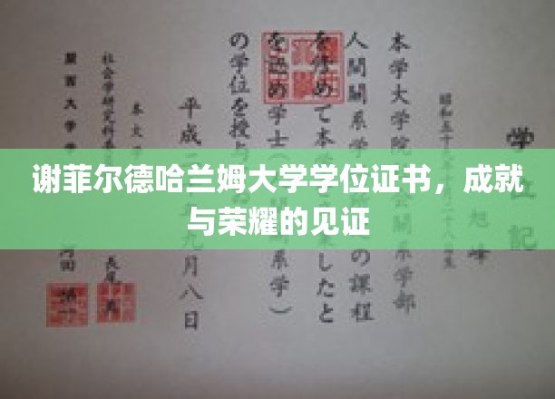 谢菲尔德哈兰姆大学学位证书，成就与荣耀的见证