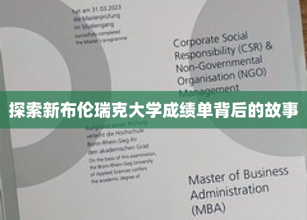 探索新布伦瑞克大学成绩单背后的故事