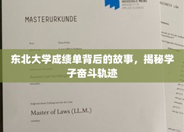 东北大学成绩单背后的故事，探寻学子奋斗足迹