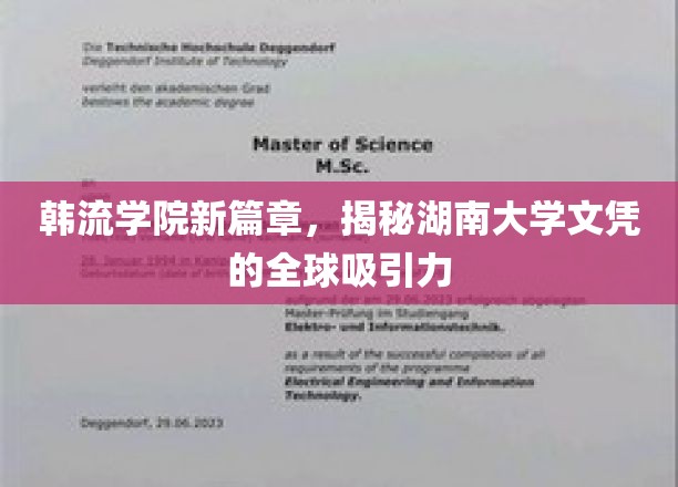 湖南大学文凭，引领韩流学院新潮流的国际魅力