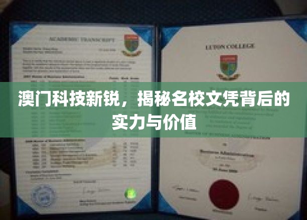 解码澳门科技精英，名校文凭背后的力量与魅力
