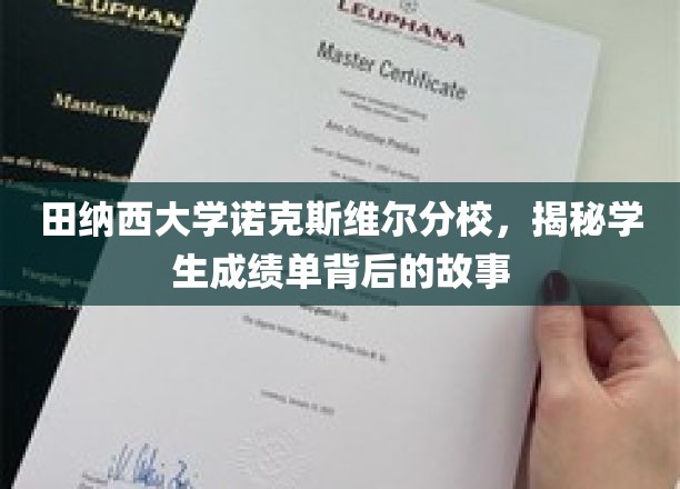 田纳西大学诺克斯维尔分校，揭秘学生成绩单背后的故事