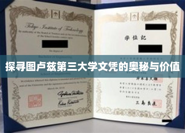 探寻图卢兹第三大学文凭的奥秘与价值