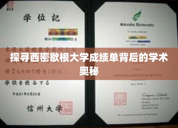 揭秘西密歇根大学成绩单，解码学术成就的神秘面纱