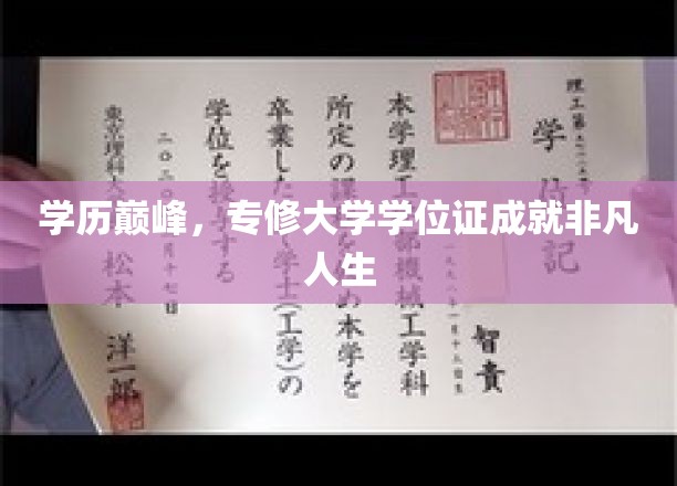 学位巅峰路，成就非凡未来之路