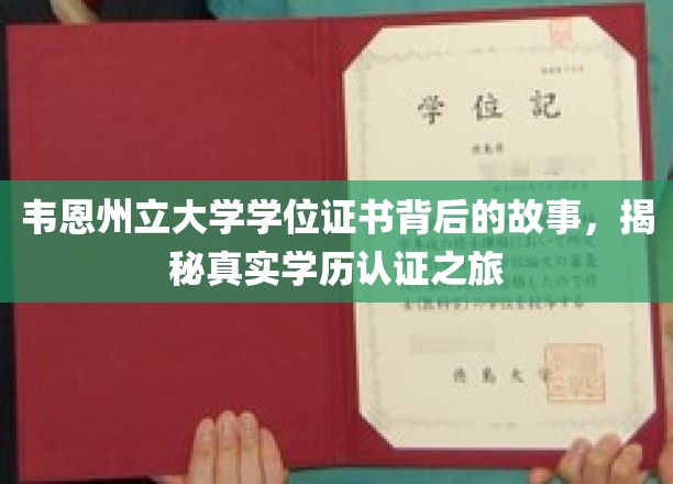 探寻韦恩州立大学学位证书奥秘，揭秘学历认证背后的真实历程