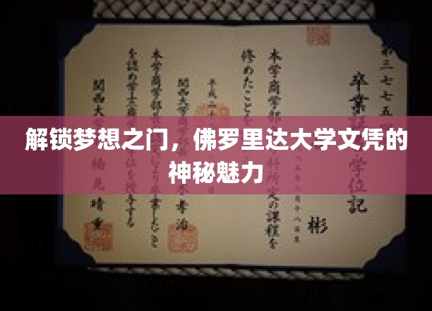 佛罗里达大学文凭，揭秘顶尖教育的非凡吸引力