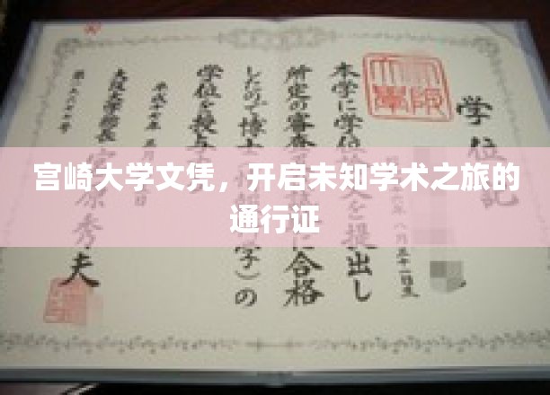 宫崎大学文凭，解锁未来学术探索的神秘钥匙