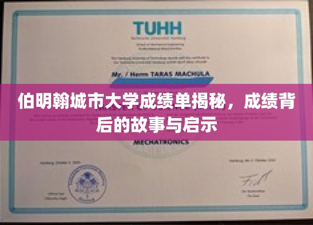 伯明翰城市大学成绩单揭秘，成绩背后的故事与启示