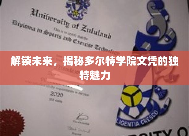 解锁未来，一探多尔特学院文凭的独特魅力