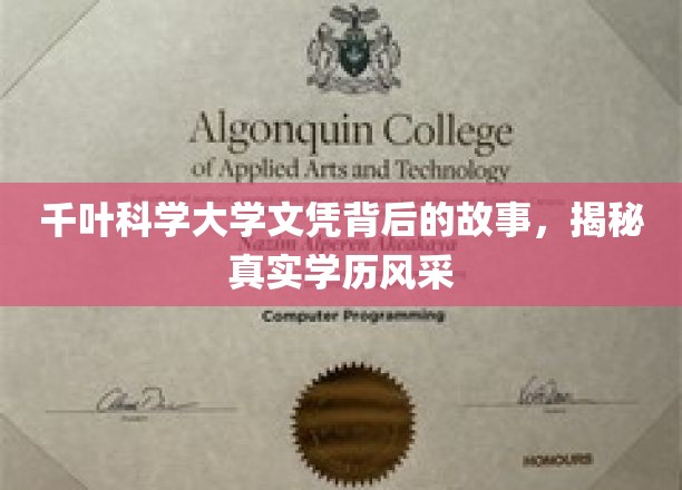 千叶科学大学文凭背后，一窥真实学历的璀璨之光