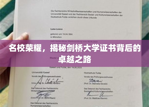 剑桥传奇，揭开名校学子成就背后的璀璨篇章