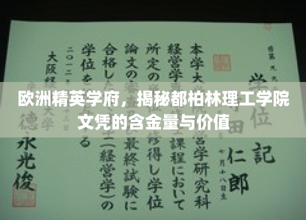 欧洲精英学府，深度解析都柏林理工学院文凭的含金量与价值