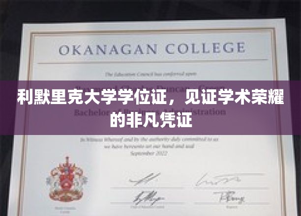 利默里克荣耀证章，学位证书，承载学术成就的璀璨印记