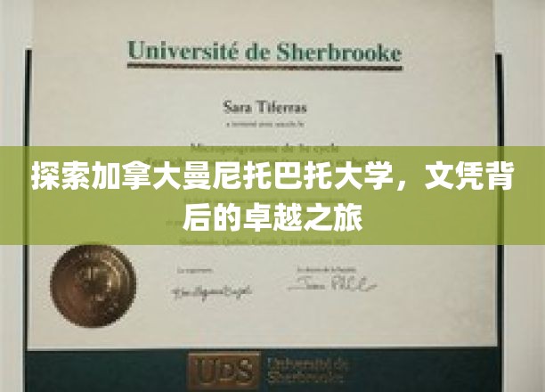 解锁曼尼托巴托大学，探寻国际教育品质的璀璨篇章