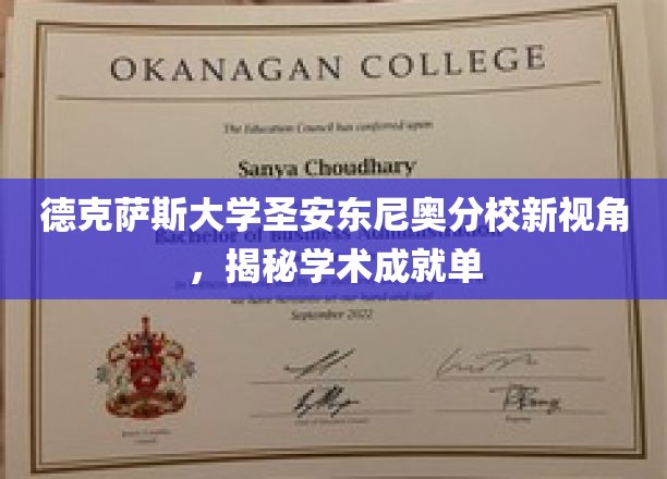 探索德克萨斯大学圣安东尼奥分校，学术成就单背后的新发现