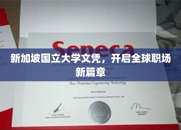 跨国通行证，新加坡国立大学文凭助你驰骋全球职场舞台